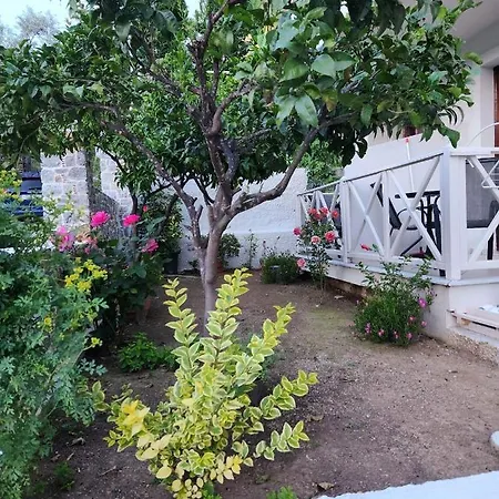 Stavroula's House